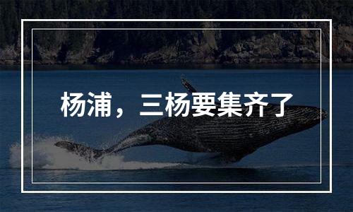 杨浦，三杨要集齐了