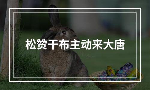 松赞干布主动来大唐