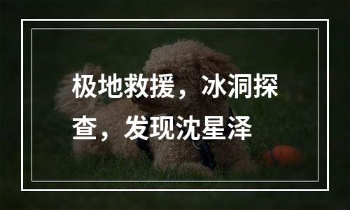 极地救援，冰洞探查，发现沈星泽