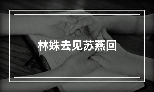 林姝去见苏燕回