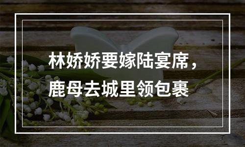 林娇娇要嫁陆宴席，鹿母去城里领包裹