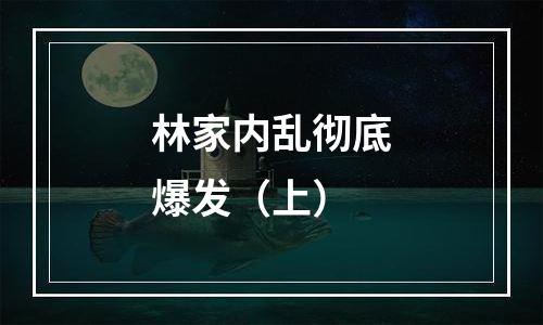 林家内乱彻底爆发（上）