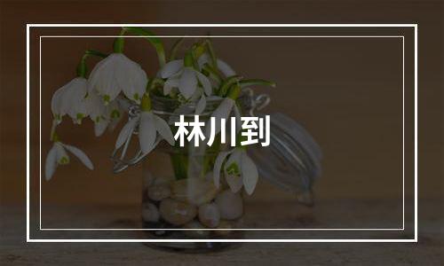 林川到