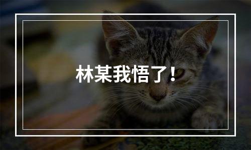 林某我悟了！