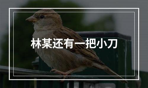 林某还有一把小刀