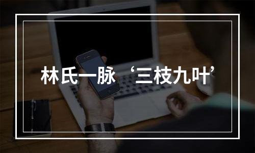 林氏一脉‘三枝九叶’