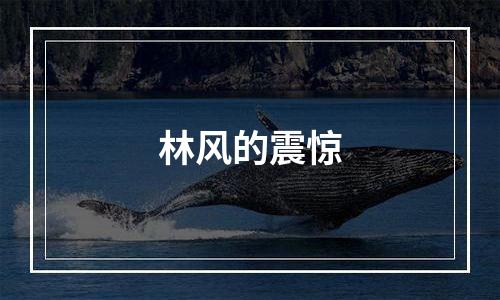 林风的震惊