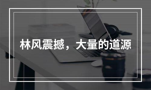 林风震撼，大量的道源