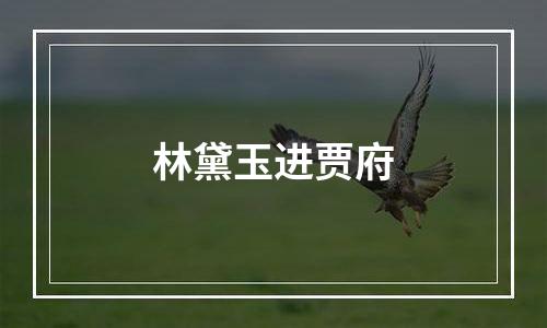 林黛玉进贾府