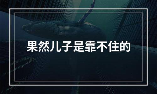 果然儿子是靠不住的