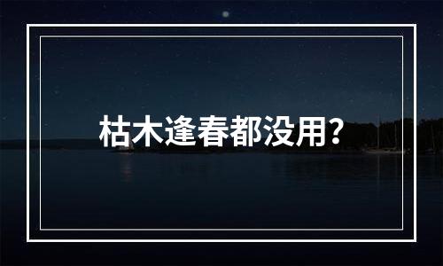 枯木逢春都没用？