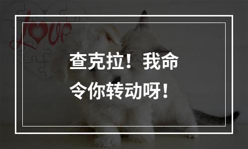 查克拉！我命令你转动呀！