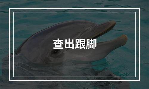 查出跟脚