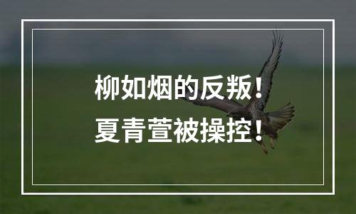 柳如烟的反叛！夏青萱被操控！