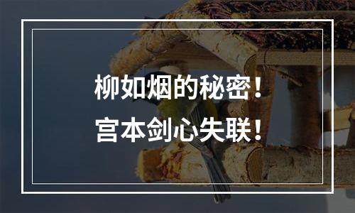 柳如烟的秘密！宫本剑心失联！