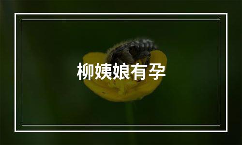 柳姨娘有孕