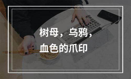 树母，乌鸦，血色的爪印