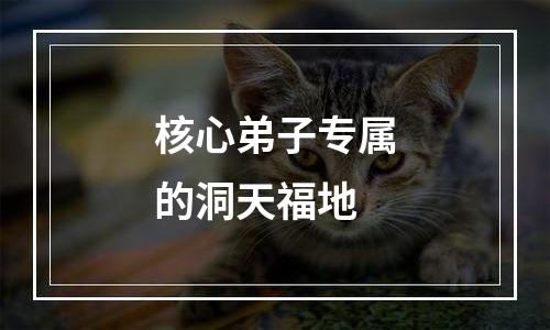 核心弟子专属的洞天福地