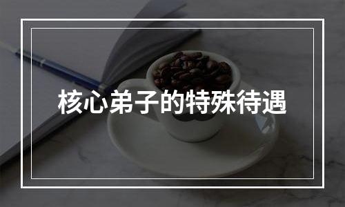 核心弟子的特殊待遇