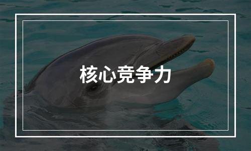 核心竞争力