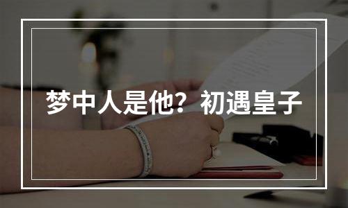 梦中人是他？初遇皇子