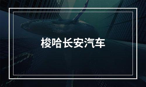 梭哈长安汽车