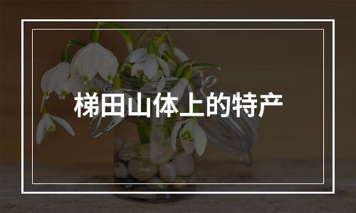 梯田山体上的特产