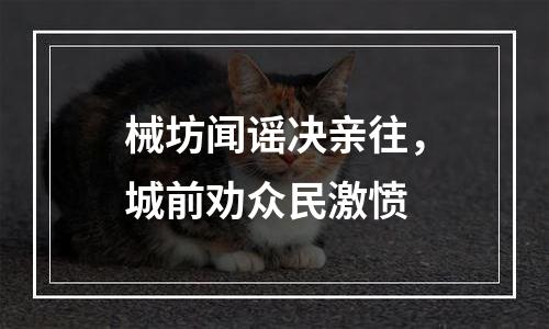 械坊闻谣决亲往，城前劝众民激愤
