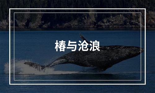 椿与沧浪