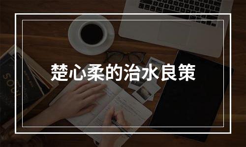 楚心柔的治水良策