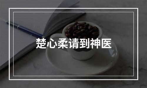 楚心柔请到神医