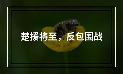 楚援将至，反包围战