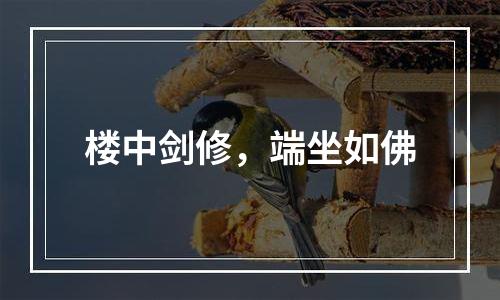 楼中剑修，端坐如佛