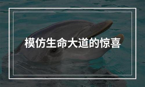 模仿生命大道的惊喜
