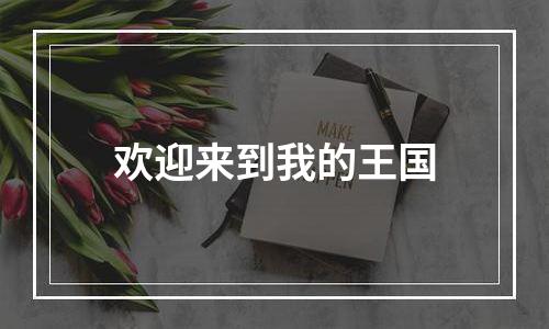 欢迎来到我的王国