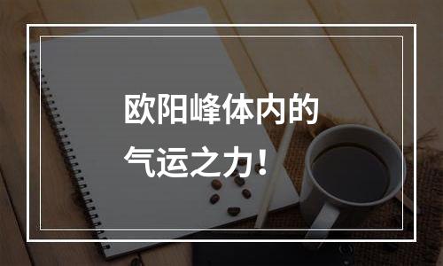 欧阳峰体内的气运之力！