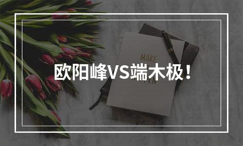 欧阳峰VS端木极！