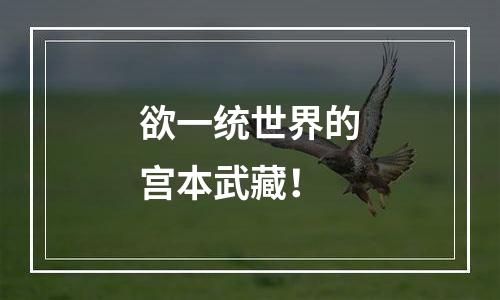欲一统世界的宫本武藏！