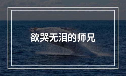 欲哭无泪的师兄