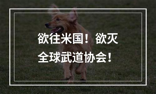 欲往米国！欲灭全球武道协会！