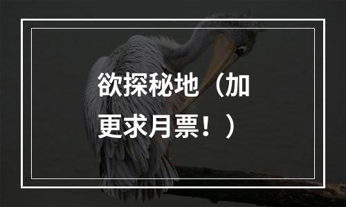 欲探秘地（加更求月票！）