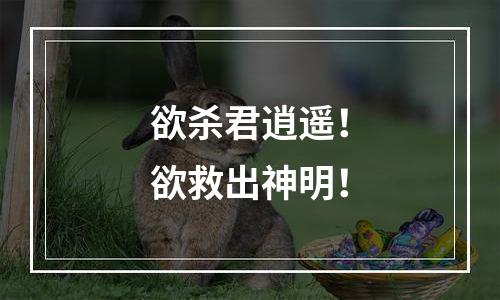欲杀君逍遥！欲救出神明！