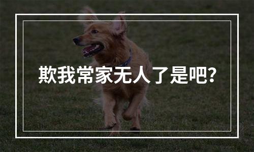 欺我常家无人了是吧？