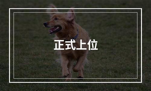 正式上位
