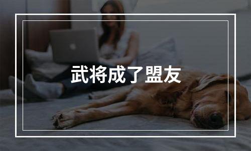 武将成了盟友