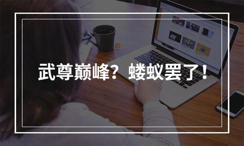 武尊巅峰？蝼蚁罢了！