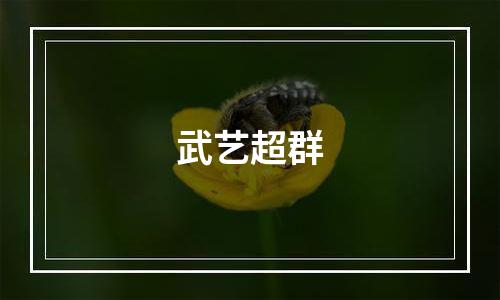 武艺超群