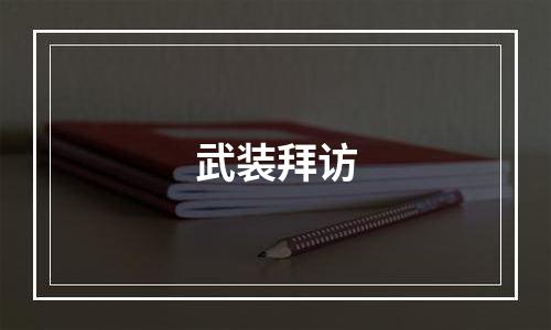 武装拜访
