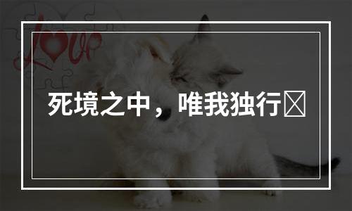死境之中，唯我独行​