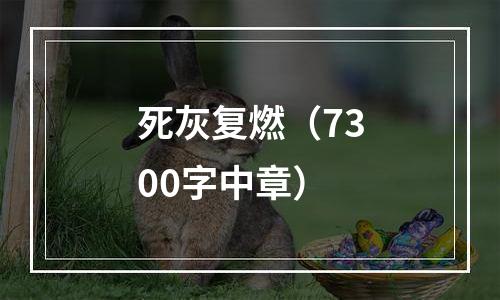 死灰复燃（7300字中章）